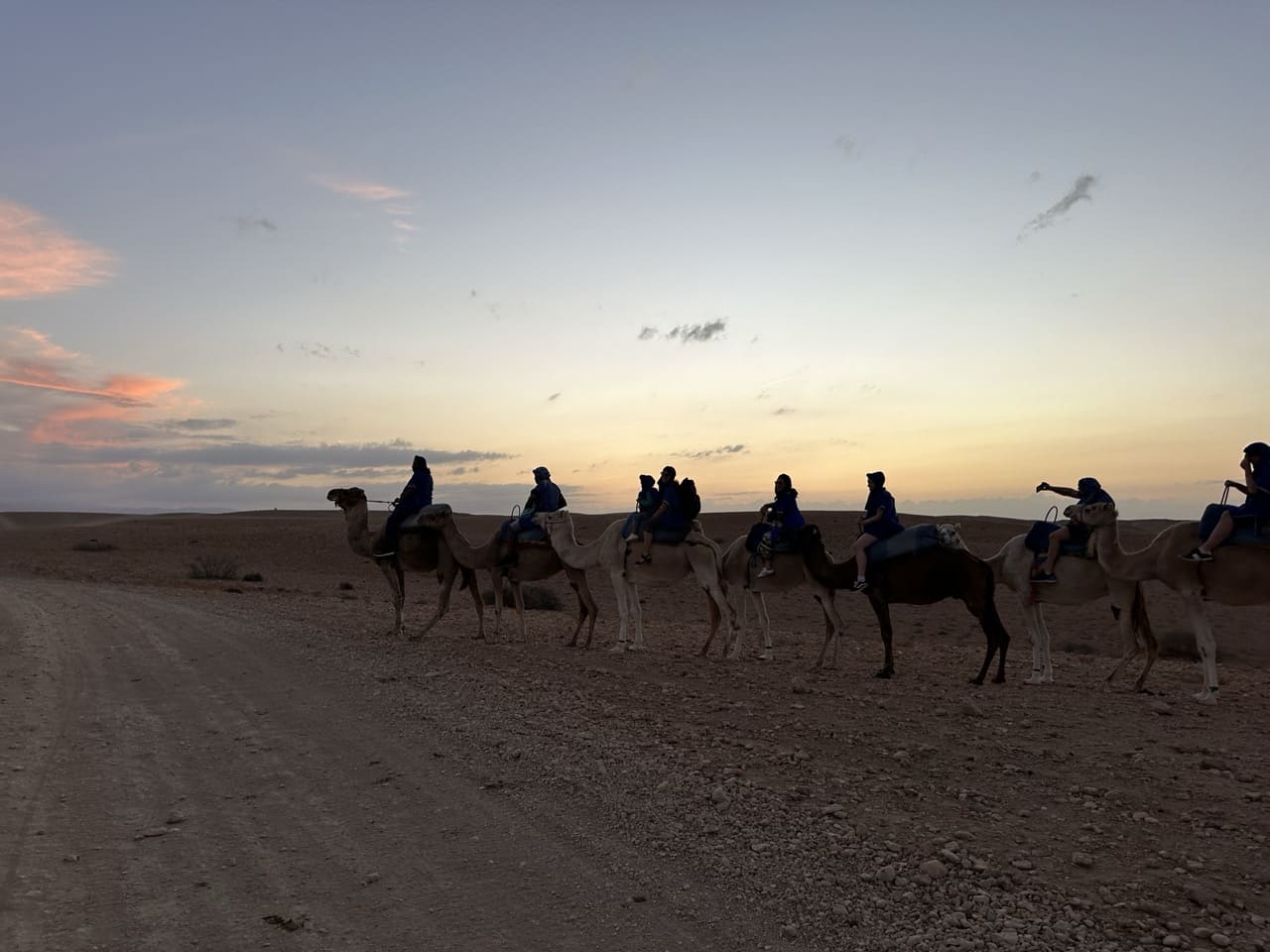 Balade à dos de dromadaire dans le désert d’Agafay : Une immersion authentique près de Marrakech